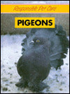 Pigeons