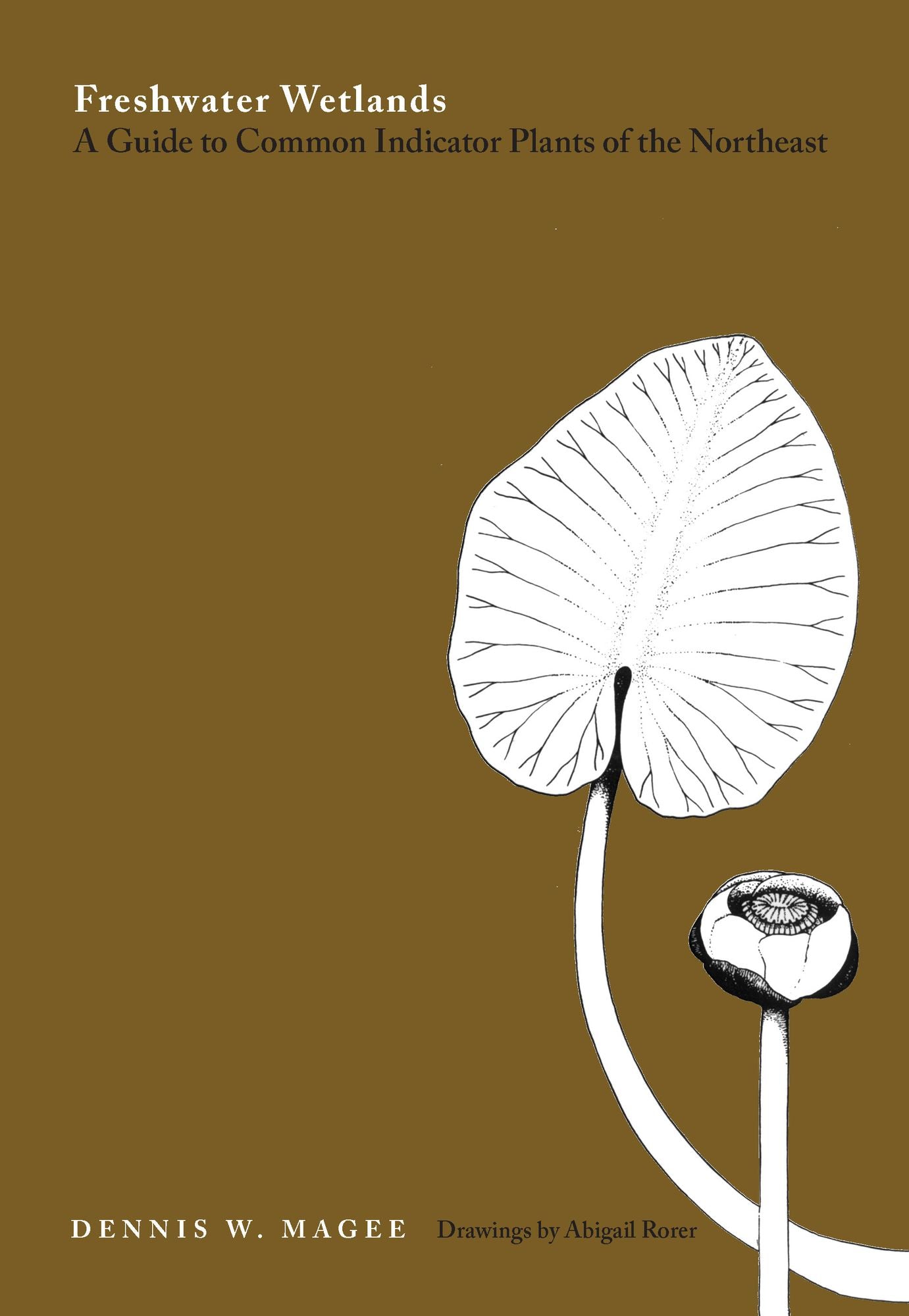Freshwater Wetlands: A Guide to Common Indicator Plants of the Northeast