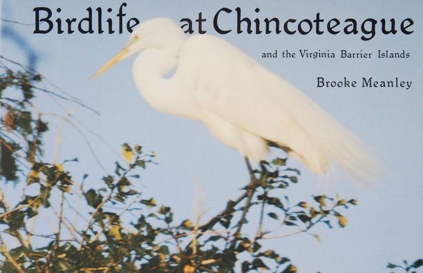 Birdlife at Chincoteague: And the Virginia Barrier Islands