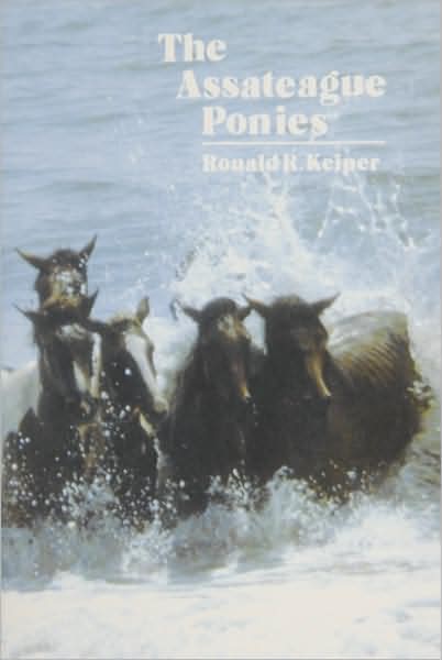 The Assateague Ponies