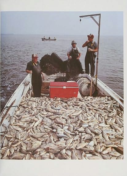 The Waterman of the Chesapeake Bay