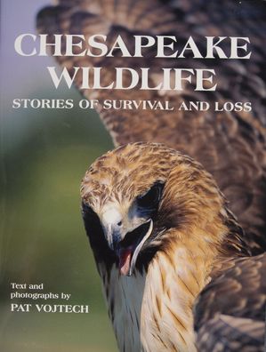 Chesapeake Wildlife: Stories of Survival and Loss