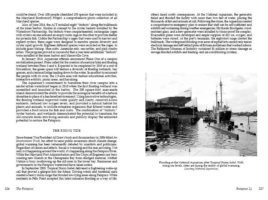 The Patapsco: Baltimore's River of History