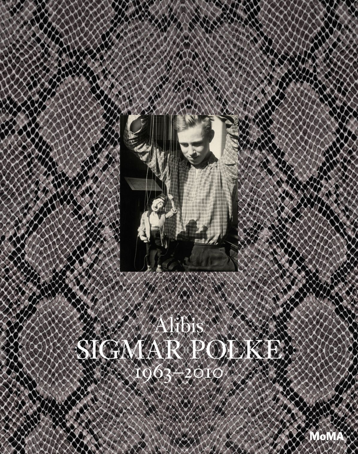 Sigmar Polke: Alibis 1963-2010 : Alibis