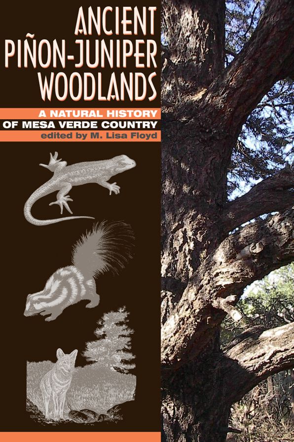 Ancient Pinon-Juniper Woodlands: A Natural History of Mesa Verde