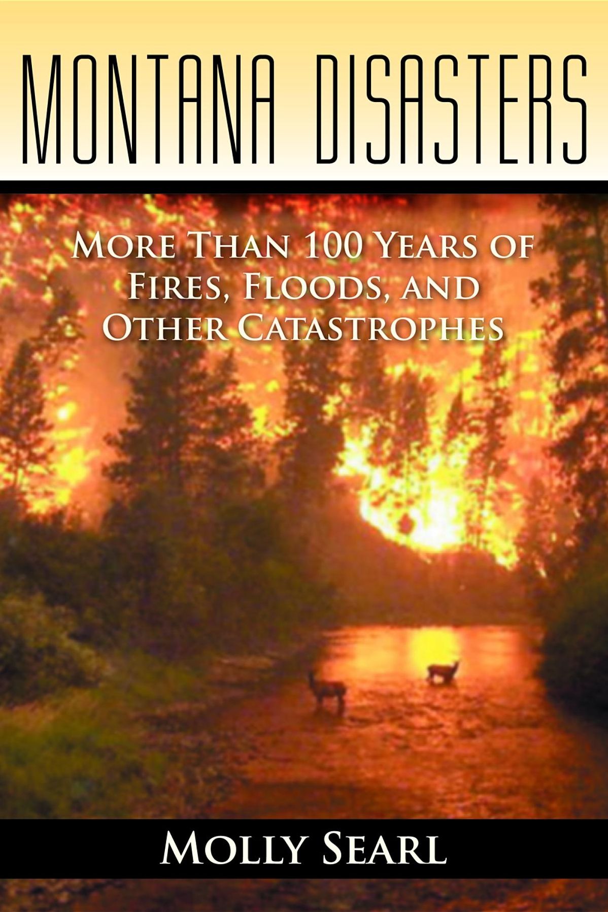 Montana Disasters