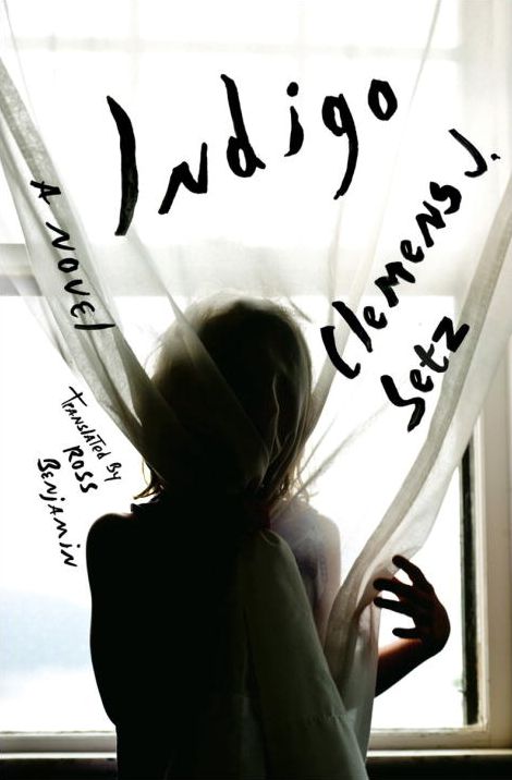 Indigo: A Novel