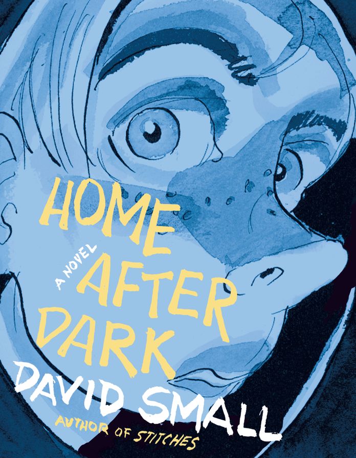 Home After Dark: A Novel
