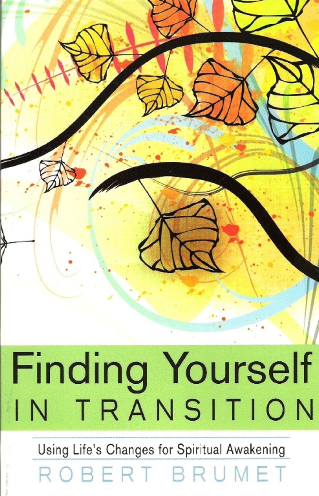 Finding Yourself in Transition: Using Life's Changes for Spiritual Awakening