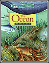 The Ocean