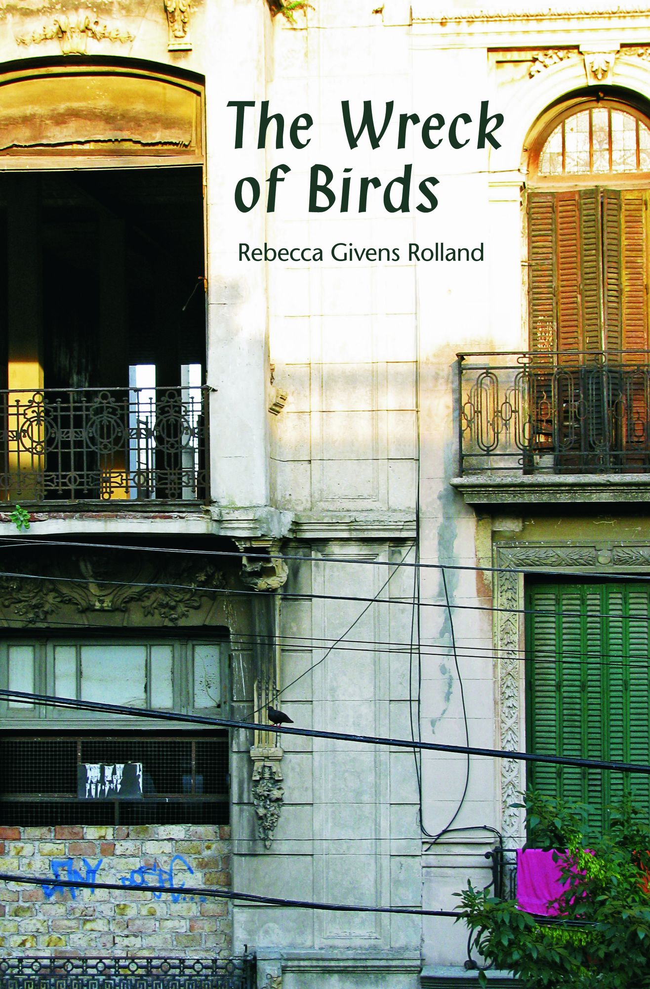 The Wreck of Birds