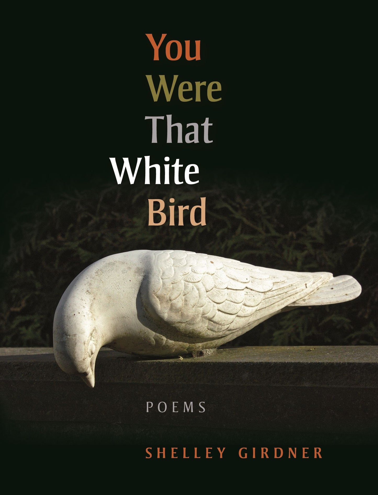 You Were That White Bird: Poems