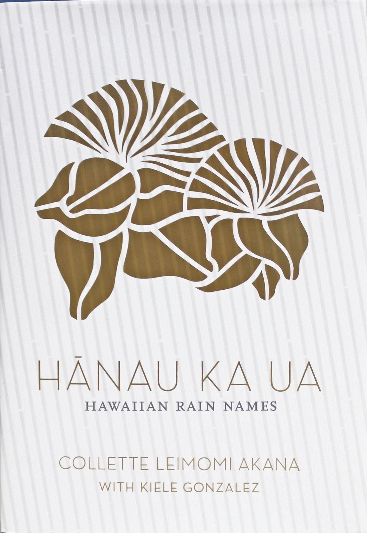 Hanau Ka Ua: Hawaiian Rain Names