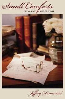 Small Comforts: Essays at Middle Age