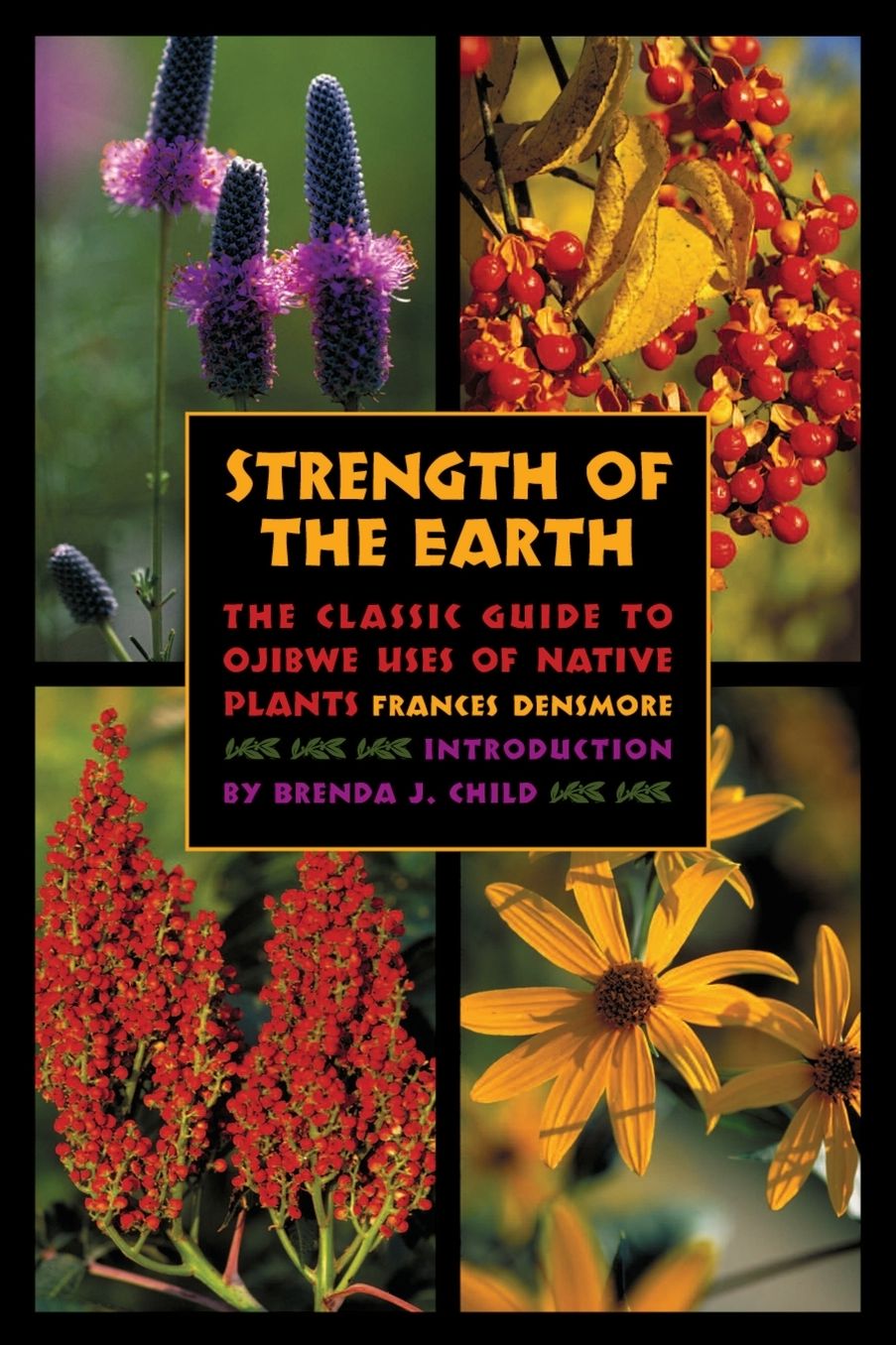 Strength of the Earth: The Classic Guide to Ojibwe Uses of Native Plants