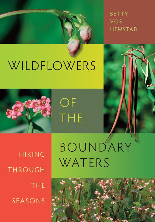 Wildflowers of the Boundary Waters: Hiking through the Seasons