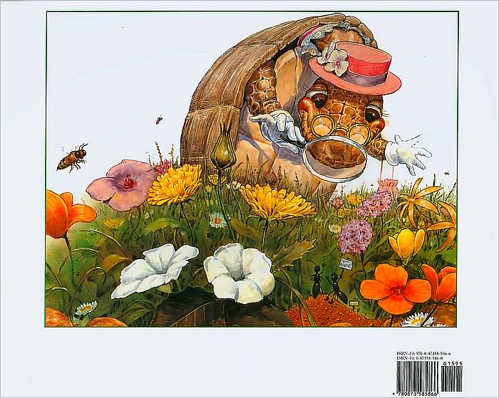 The Tortoise and the Jackrabbit