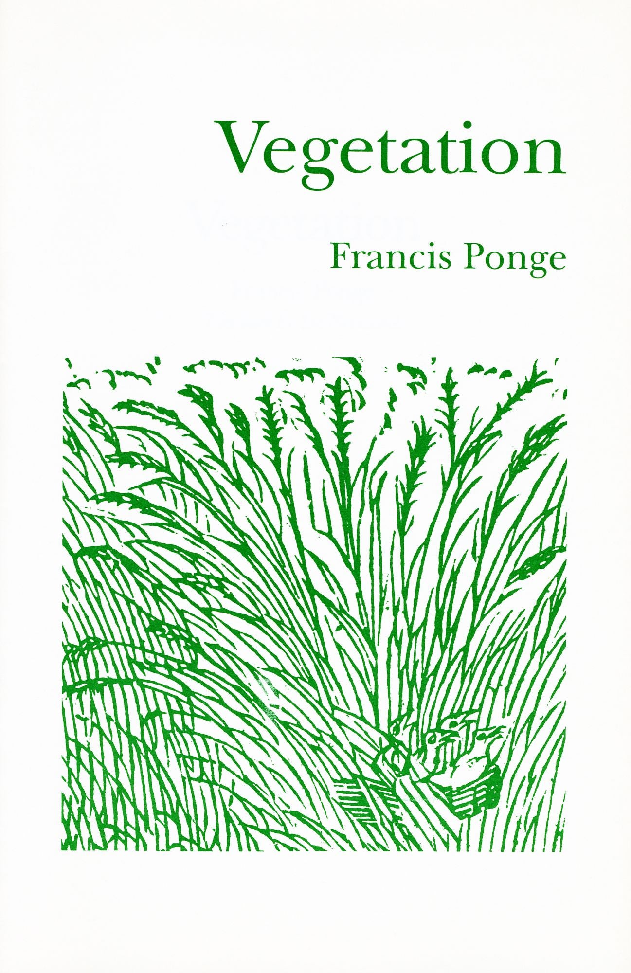 Vegetation