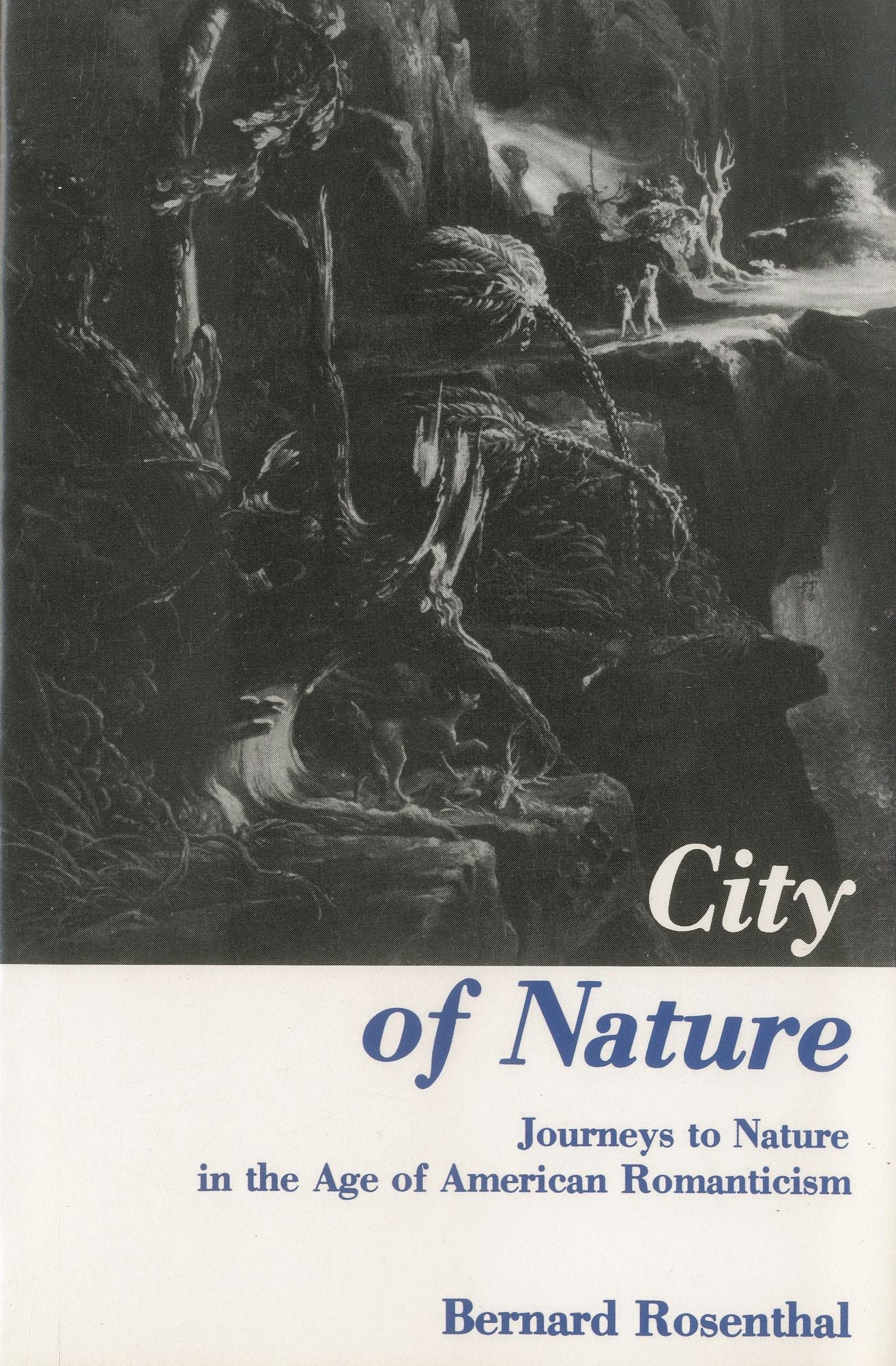 City Of Nature: Journeys to Nature in the Age of American Romanticism