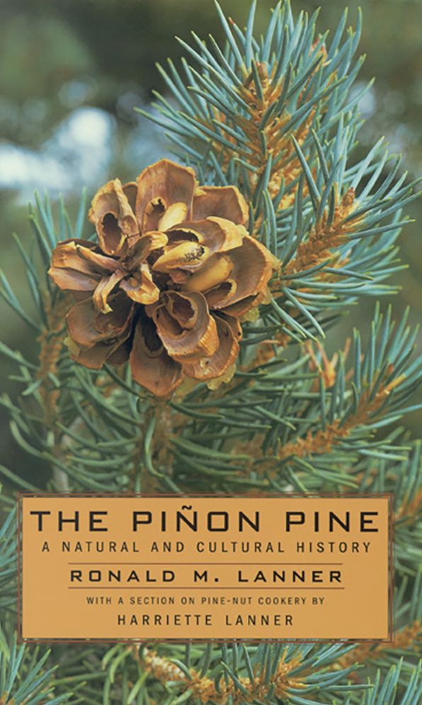 Pinon Pine: A Natural and Cultural History