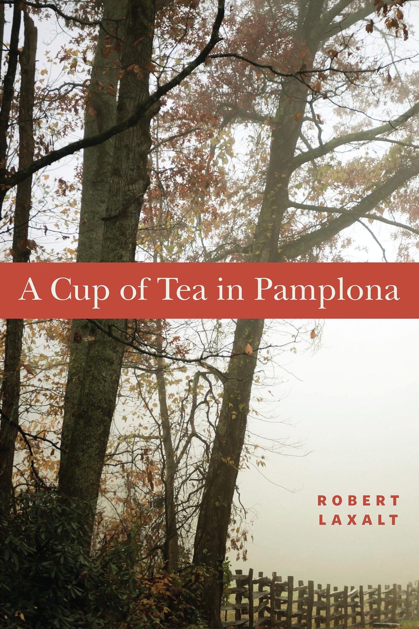A Cup of Tea in Pamplona
