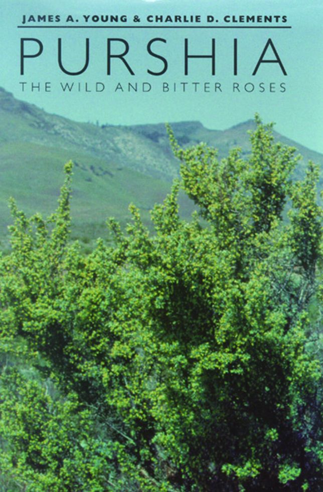 Purshia: The Wild and Bitter Roses