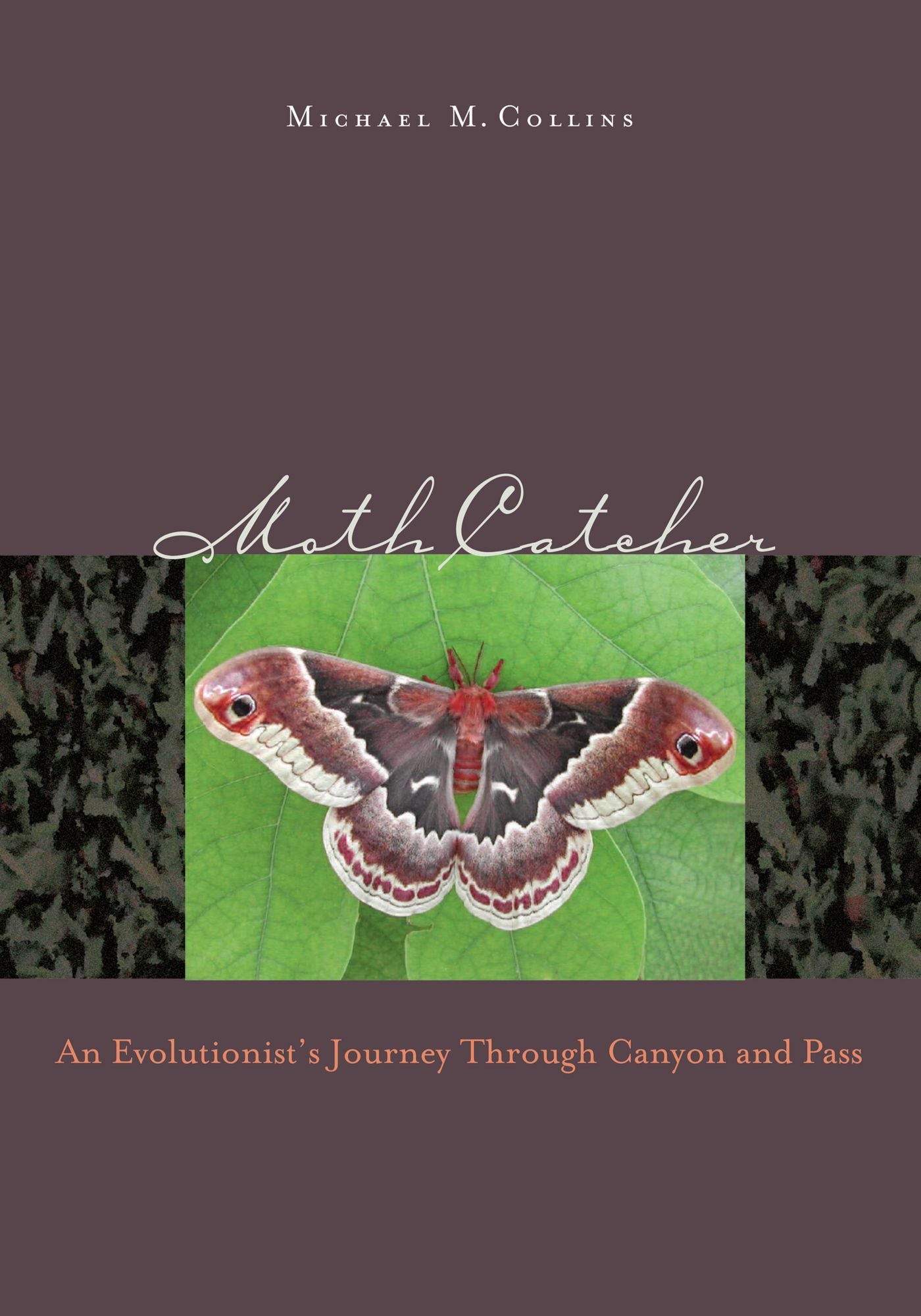 Moth Catcher: An Evolutionist'S Journey Through Canyon And Pass