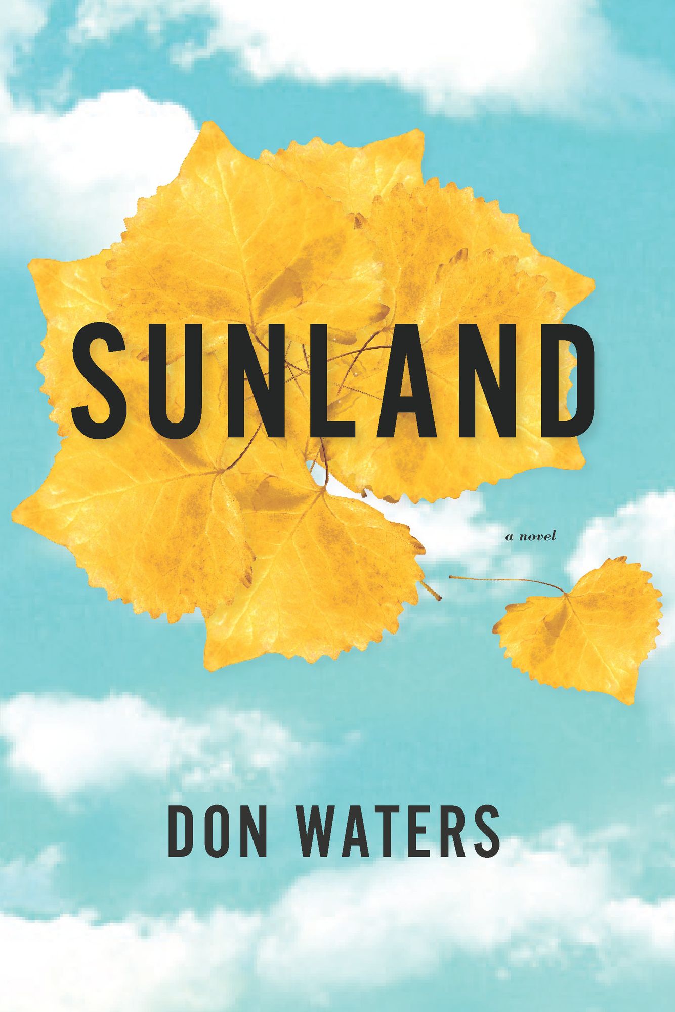 Sunland: A Novel