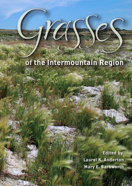 Grasses Of The Intermountain Region