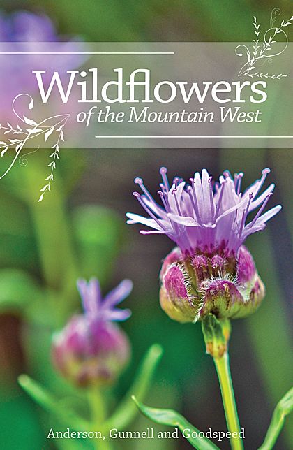 Wildflowers of the Mountain West