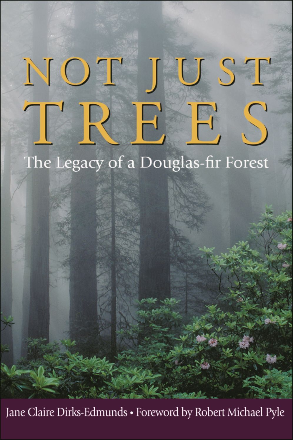Not Just Trees: The Legacy of a Douglas Fir Forest