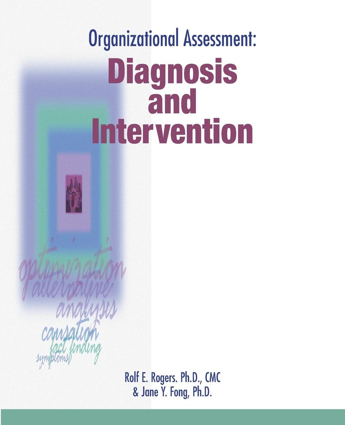 Organizational Assessment: Diagnosis and Intervention