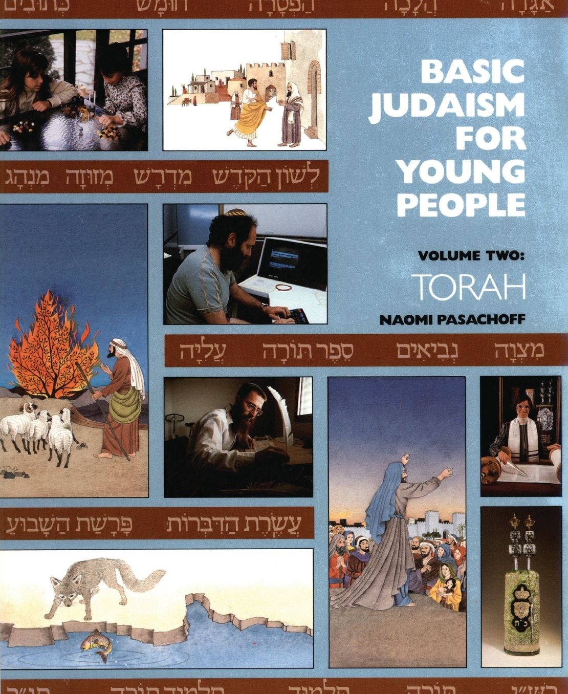 Basic Judaism for Young People: Torah