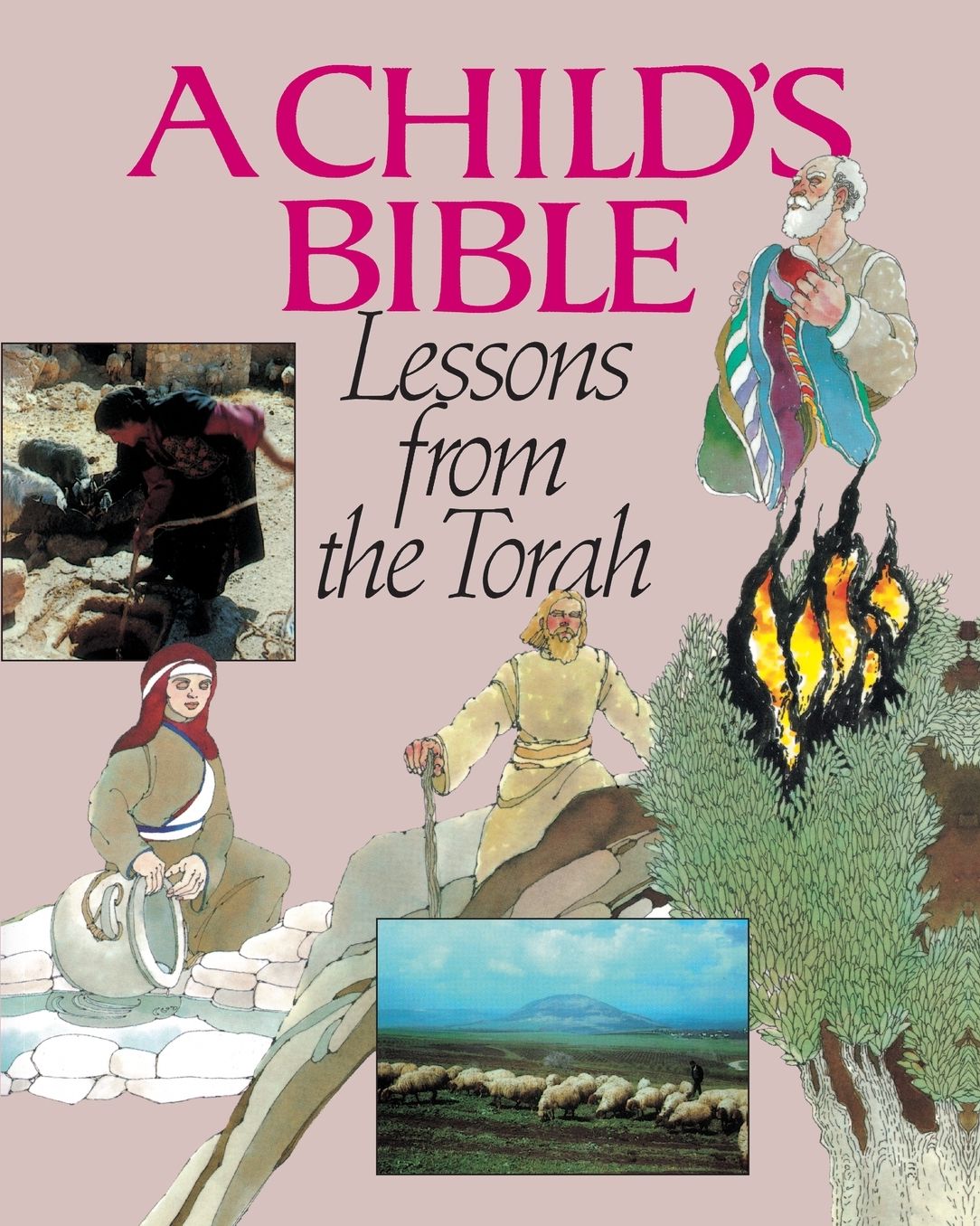 A Child's Bible: The Torah and Its Lessons