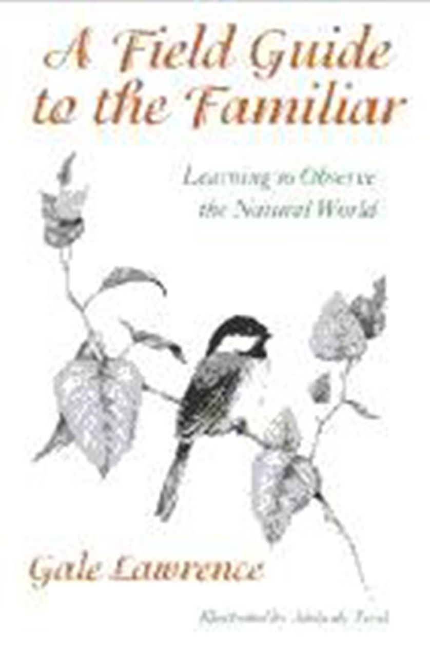 A Field Guide To The Familiar
