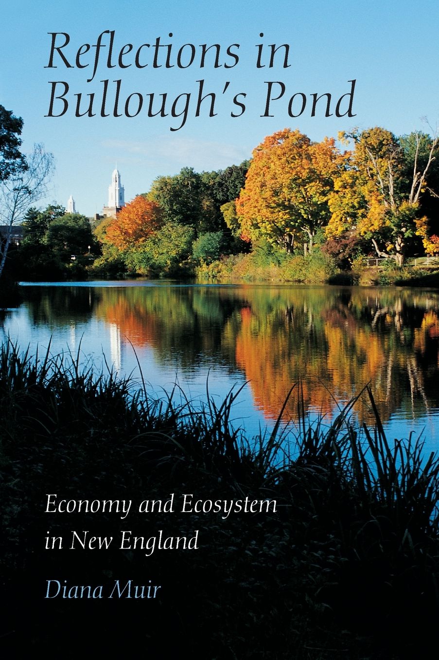 Reflections in Bullough's Pond: Economy and Ecosystem in New England