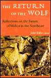 The Return of the Wolf: Reflections on the Future of Wolves in the Northeast