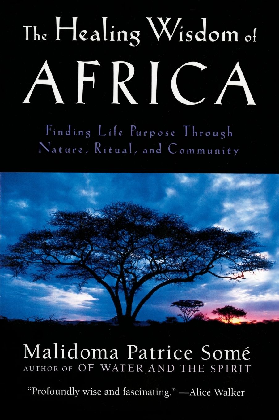 The Healing Wisdom of Africa: Finding Life Purpose Through Nature, Ritual, and Community