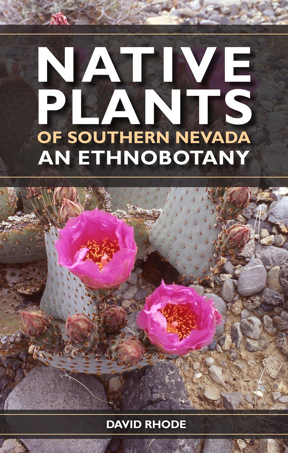 Native Plants of Southern Nevada: An Ethnobotany