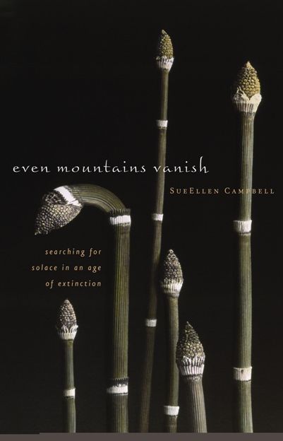 Even Mountains Vanish: Searching for Solace in an Age of Extinction