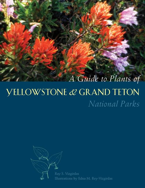 Guide to Plants of Yellowstone and Grand Teton National Parks