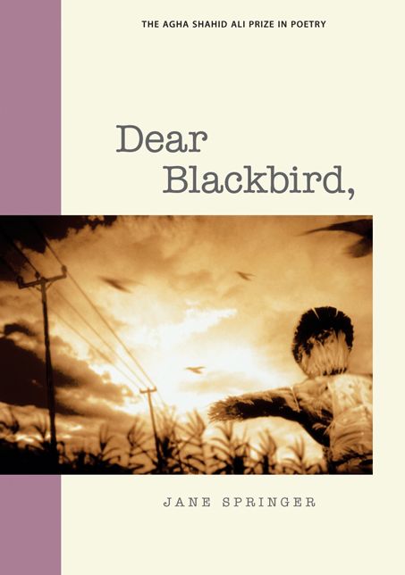 Dear Blackbird