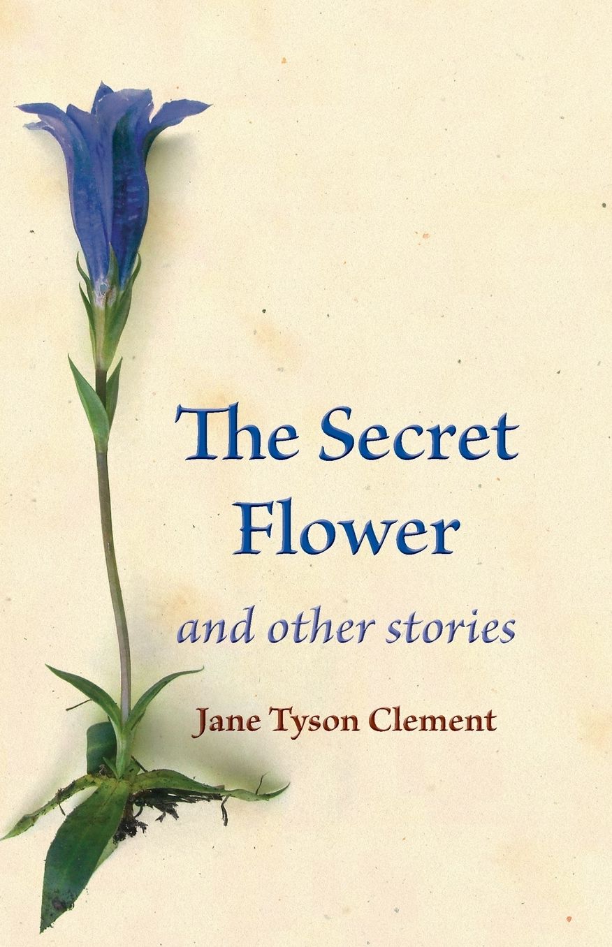 Secret Flower: And Other Stories