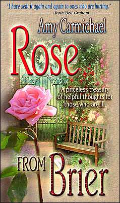 Rose From Brier