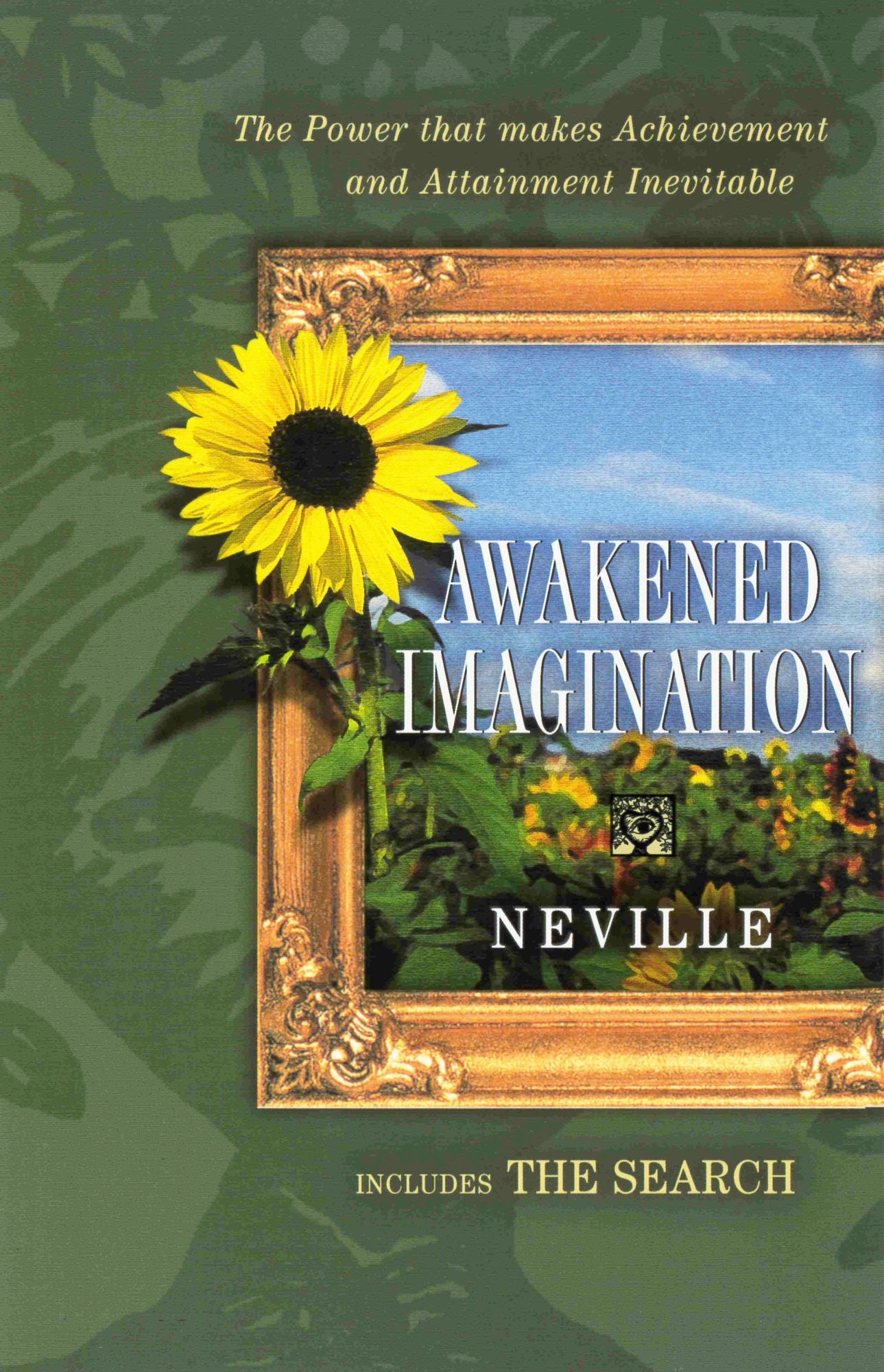 Awakened Imaginationthe Search