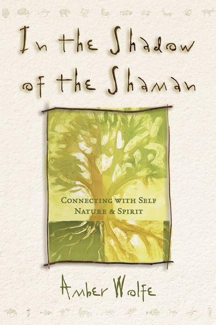 In the Shadow of the Shaman: Connecting with Self, Nature & Spirit