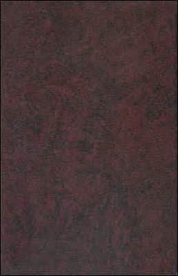 The Inspiration and Authority of the Bible