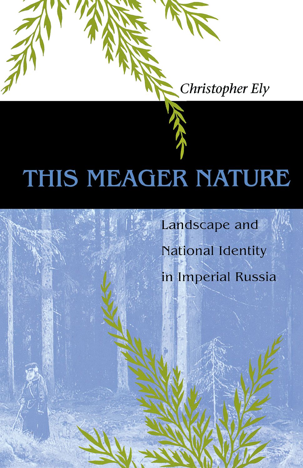 THIS MEAGER NATURE: LANDSCAPE AND NATIONAL IDENTITY IN IMPERIAL RUSSIA
