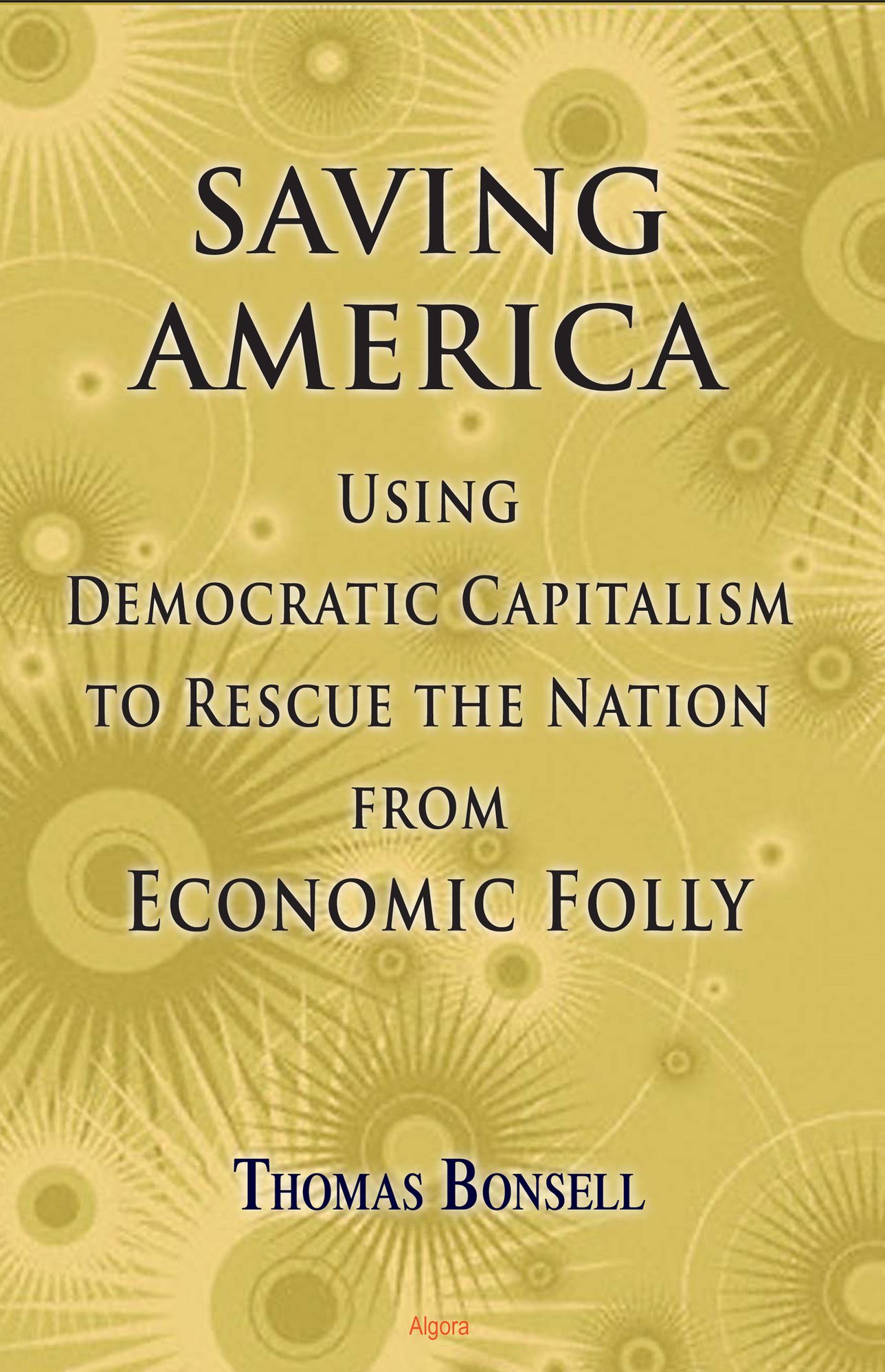 Saving America: Using Democratic Capitalism to Rescue the Nation from Economic Folly