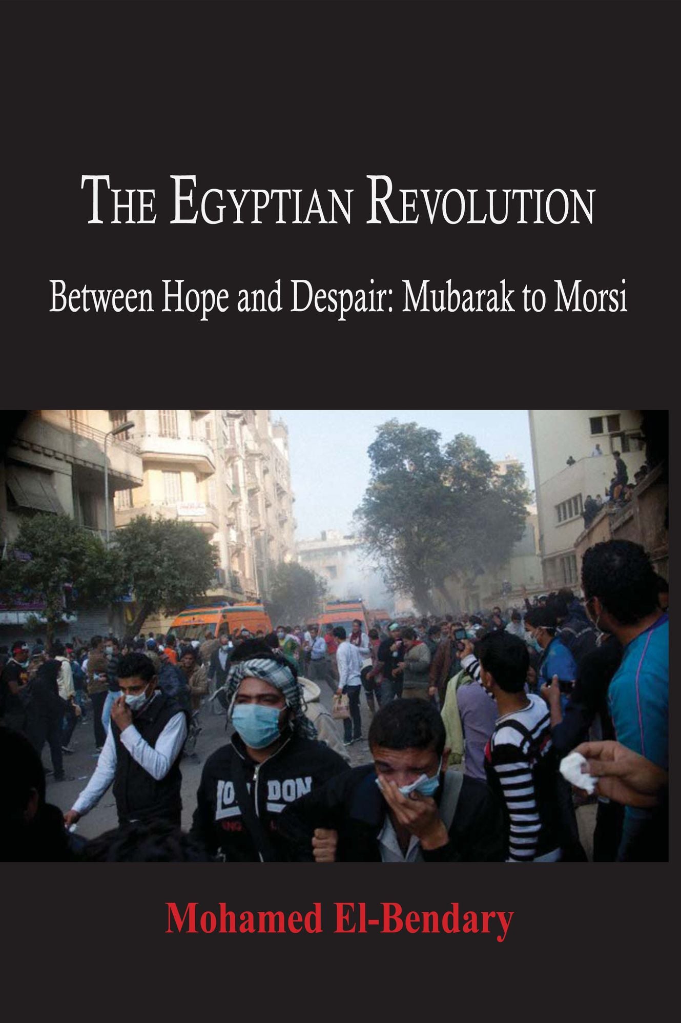 From Mubarak's Fall to Morsi's Rise: The Egyptian Revolution